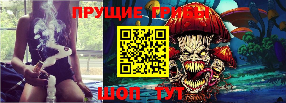 Галлюциногенные грибы Cubensis  что такое   Тихвин  Вход с VPN  Галлюциногенные грибы Psilocybe 